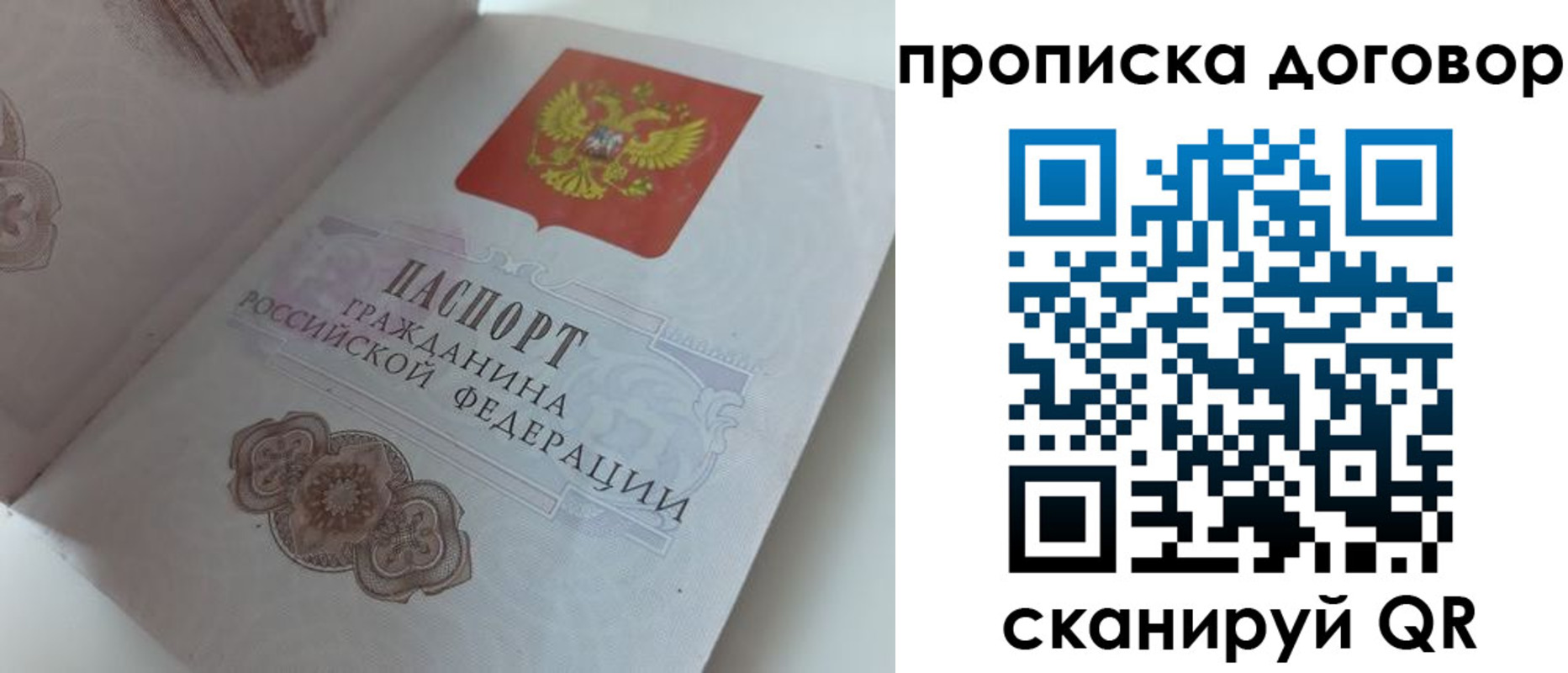 прописка поиск в Полярном